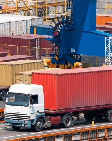 Cold Chain Logistics